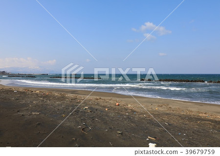 春天金色海灘Momomoi 39679759