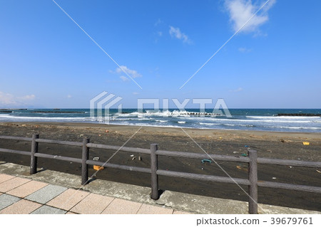 春天金色海灘Momomoi 39679761