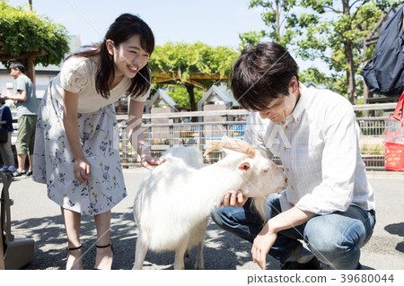 Couple touching goats 39680044