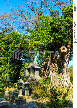 松島松山的Akou [長崎縣西海市] 39680864