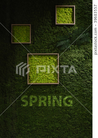 Dark green moss wall Dark green moss wall 39683557