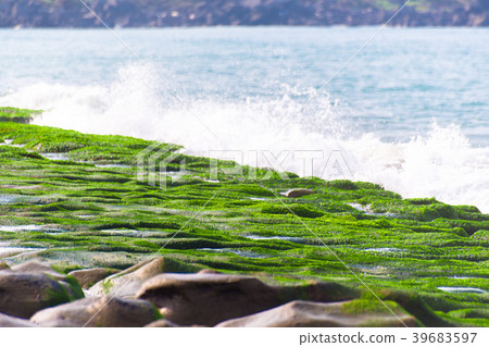 Laomei Green Reef,Shimen District, New Taipei 39683597