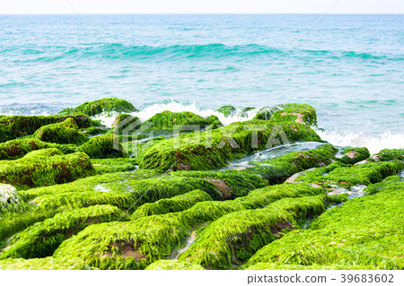 Laomei Green Reef,Shimen District, New Taipei 39683602