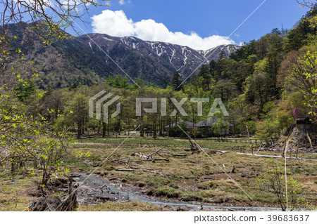 Nikko-shi, Tochigi hot spring wet field (May) Nikko-shi, Tochigi hot spring wet field (May) 39683637