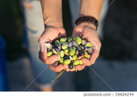 Handful of olives Handful of olives 39684244