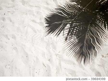 Palm trees cast shadows on the smooth golden sand 39684399