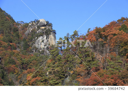 Shinkyō峽谷在秋天·Yen Yen峰頂 39684742