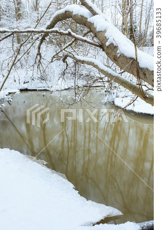 Small stream in winter forest Small stream in winter forest 39685133