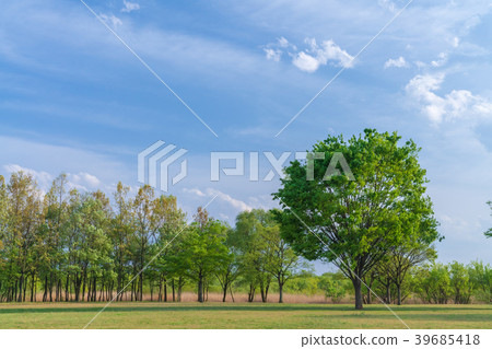 [公園的物質形象]清爽的藍天公園 39685418