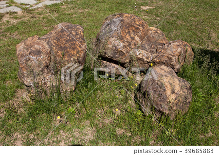 Stromatolite fossils in Gyeongsan, Korea  39685883