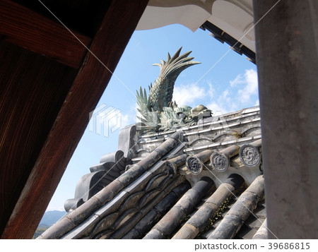 高知城堡在城堡塔的一座城堡 高知城堡在城堡塔的一座城堡 39686815