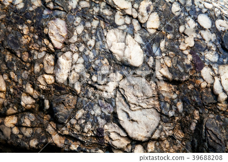 Surface of stone Metaconglomerate, Wanju 39688208