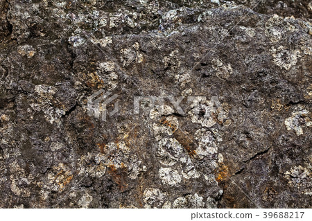Surface of stone Rhyolite 39688217