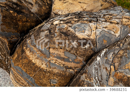 Surface of stone Stromatolite, 39688231