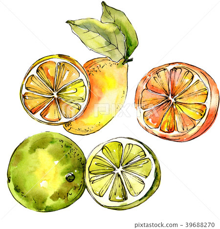 Exoticlemon citruses in a watercolor style 39688270