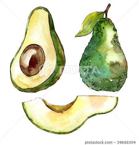 Exotic avocado wild fruit in a watercolor style Exotic avocado wild fruit in a watercolor style 39688304