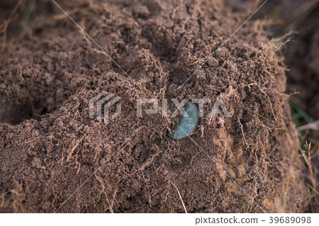 Closeup of antique dirty coin 39689098