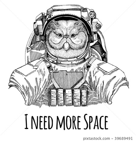 Portrait of fluffy persian cat Astronaut. Space Portrait of fluffy persian cat Astronaut. Space 39689491