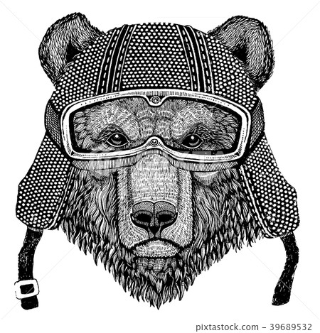 Brown bear Russian bear Animal wearing motorycle 39689532