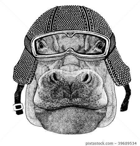 Behemoth, hippo with motorcycle helmet. Vintage Behemoth, hippo with motorcycle helmet. Vintage 39689534