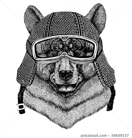 Bear wearing motorcycle helmet. Vintage motorcycle 39689537