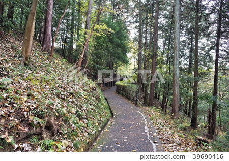 在森林散步 群馬高崎染料植物園的美麗景色 照片素材 圖片 圖庫