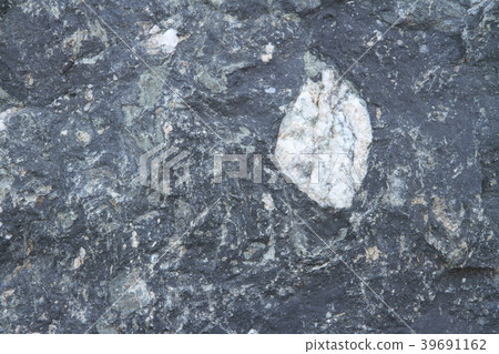 Mud mudstone (rock sample of Himekawa water system) 39691162