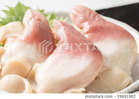 曲棍球貝類 39691962