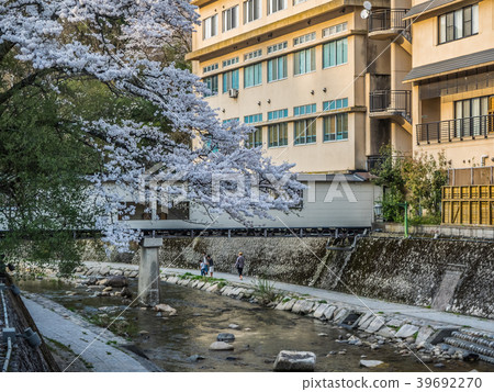 Yumura Onsen, with its cherry blossoms in full bloom 39692270