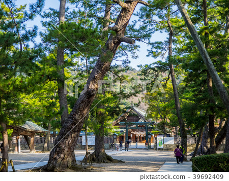 The approach of the solemn Izumo Taisha The approach of the solemn Izumo Taisha 39692409