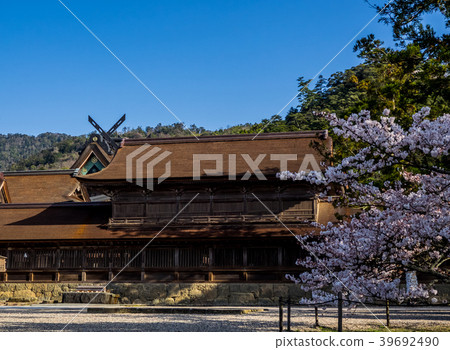 Izumo Taisha, in full bloom with cherry blossoms Izumo Taisha, in full bloom with cherry blossoms 39692490