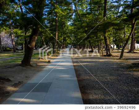 The approach of the solemn Izumo Taisha The approach of the solemn Izumo Taisha 39692496