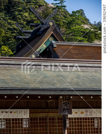 Izumo Taisha, in full bloom with cherry blossoms Izumo Taisha, in full bloom with cherry blossoms 39692497