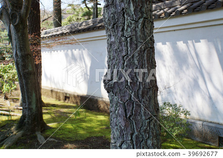 日本傳統文化Sankeien 日本傳統文化Sankeien 39692677
