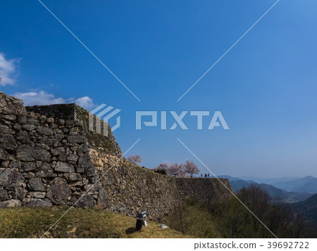 Takeda Castle ruins in full bloom with cherry blossoms Takeda Castle ruins in full bloom with cherry blossoms 39692722