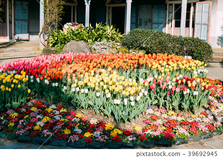 長崎格洛弗花園 39692945