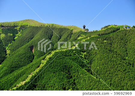 新鮮的綠山 新鮮的綠山 39692969