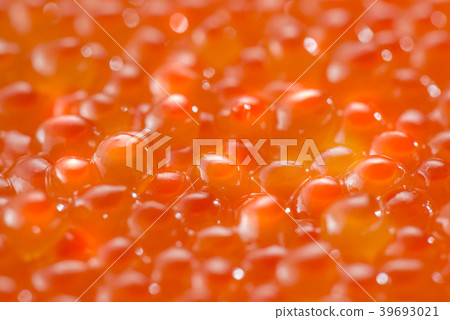 用新鮮的三文魚魚蛋製成的醬油泡菜多少錢 用新鮮的三文魚魚蛋製成的醬油泡菜多少錢 39693021