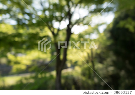 Bokeh material In the woods Bokeh material In the woods 39693137