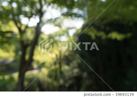 Bokeh material In the woods Bokeh material In the woods 39693139