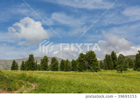 Beautiful blue sky with clouds over the top of Beautiful blue sky with clouds over the top of 39693153