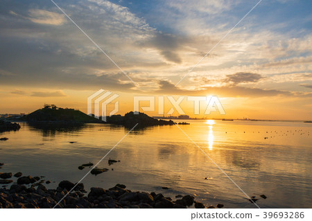 Hachinohe City Aomori Prefecture Seahorse breeding area 39693286