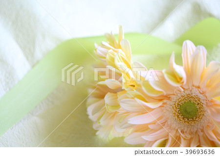 Flower gift Flower gift 39693636