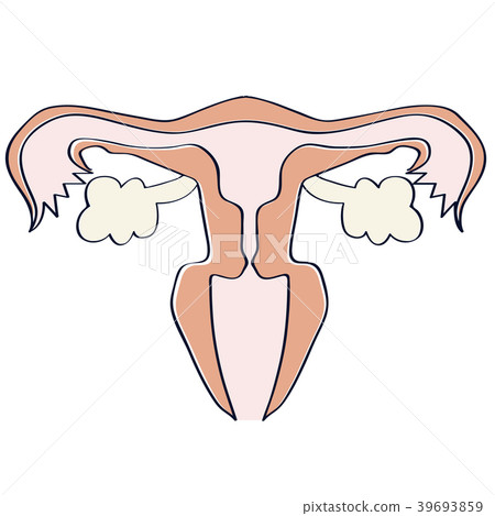 State of the womb 39693859