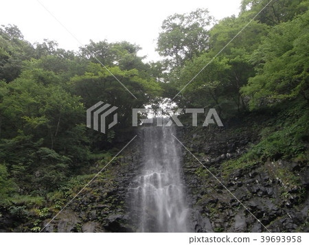 塔瑪達爾瀑布 39693958