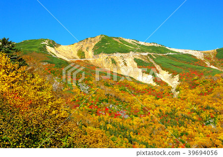 Norikura-dake-the leaves of Fujimizawa Norikura-dake-the leaves of Fujimizawa 39694056
