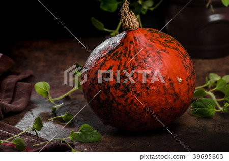 Hokkaido pumpkins rustic 39695803