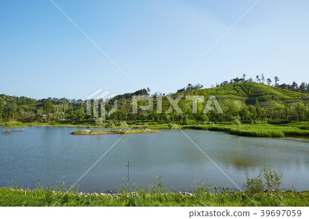 Suncheon Bay Garden, Suncheon City, Jeonnam 39697059