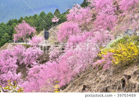 Takami no Sato (garden in the sky) 39703489