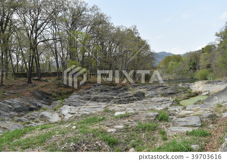 Nagamine, Enoshima in spring 39703616